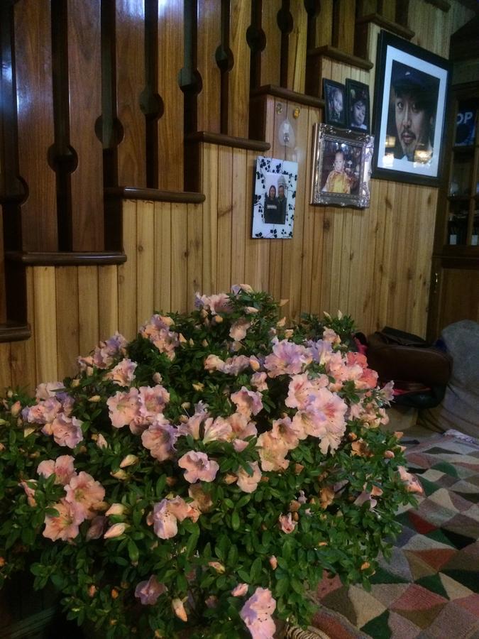 Ngawang Homestay Νταρτζίλινγκ Εξωτερικό φωτογραφία